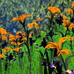 Schreck, Sonata for Oboe and Piano, Mvt. 2 - YouTube