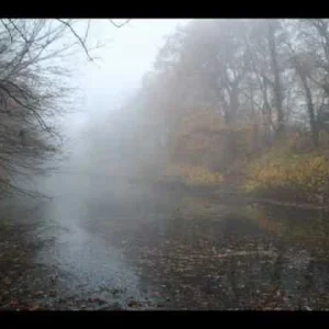 KLASSIK+MODERN: Albin Fries - String Quartet "In der Natur" in D major 1 Mvmt.1