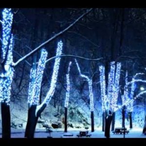 XMAS+BALLADE+JAZZ+FEMALE: Diana Krall - Have Yourself a Merry Little Christmas (CA 1998)