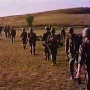 Where Have all the Flowers Gone: Eve of Destruction - YouTube