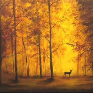 Kashiwa Daisuke - Stella