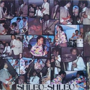 Original Shleu Shleu - Trou Crabe (RADIO MIX)