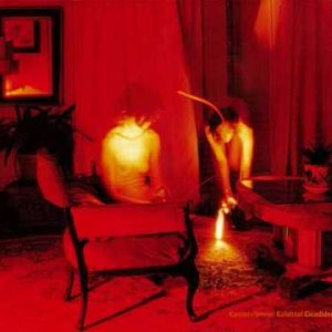 Sie Tranken Regen - Kammerflimmer Kollektief (DE 2003)