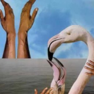 Herbie Hancock / 4 A.M. (US 1980)