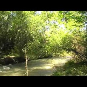 Donauinsel, Paradies in Wien - YouTube