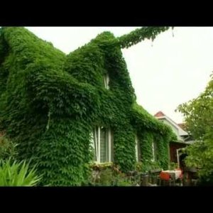 Am Schauplatz - Ärger im Paradies - YouTube