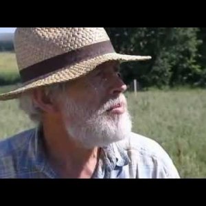 Unscheinbare Früchtchen: Linsen (1)