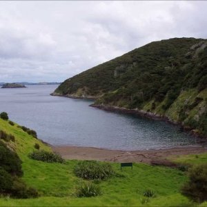 Joseph Horovitz Concertante for clarinet