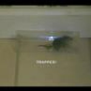 Lebend Mausefalle: The Better Mouse Trap