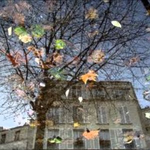 Liane Augustin & Boheme Bar Trio - LA VIE EN ROSE (AT 1950)