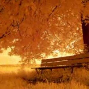 Forever Autumn - Justin Hayward (UK 1978)