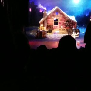 Cat Stevens - Boston, 9/17/2016 - 2aTcaikovsky Tease Cat story