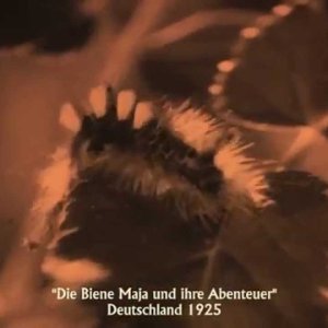 FAMILIE+TRAILER: Die Biene Maja und ihre Abenteuer (Stummfilm DE 1925)