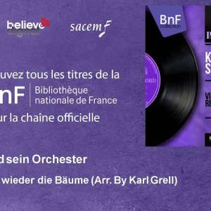 THEME+WIEN+60s+INSTRUMENTAL: Karl Grell und sein Orchester - Im Prater blüh'n wieder die Bäume