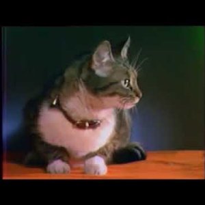 CHANSON+POP+GIRLIE+KIDS: Clothilde - Fallait pas écraser la queue du Chat (FR 1967)