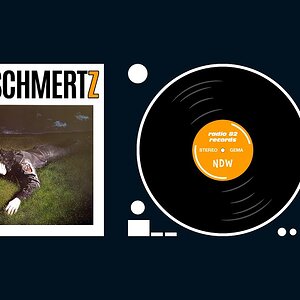 LIED+DEUTSCH+SATIRE+LIED+NDW+POLITISCH: WeltschmerTZ - (Demokratische) GrundUNordnung (DE 1982)