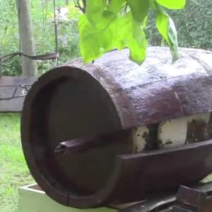TIERE+MENSCH+NATUR+BIENEN: Bee Swarm in an Oak Barrel (US 2015)