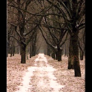 INSTRUMENTAL+POP+FOLK+AMBIENT+WORLD: Oregon - Beneath the Evening Sky (US 1989)