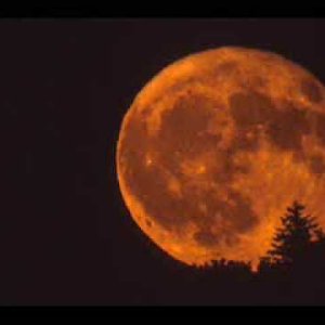 POP+ELECTRONIC+AMBIENT: Legendary Pink Dots - Zero Zero (NL/UK 1992)