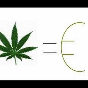 LIED+BALLADE: Götz Widmann - Die Zaubersteuer (DE 2002)