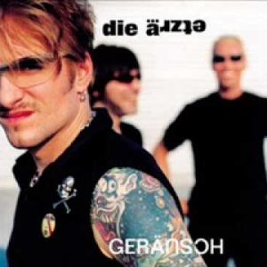 POP+DEUTSCH: Die Ärzte - Besserwisserboy (DE 2003)