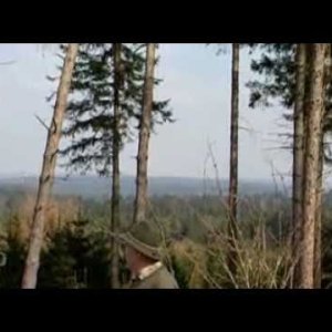 INFO+WINDKRAFT+KRITIK: So (un)wirtschaftlich ist die Windkraft (ORF 2011)