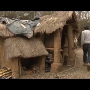 GELDFREI+LEBEN+WALDMENSCH: Moderner Eremit - So überlebt ein Brite allein im Wald (UK 2015)