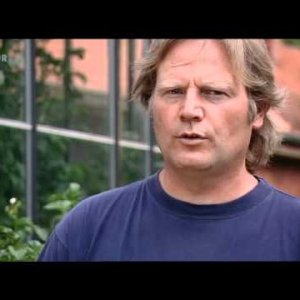 DOKU+KARTOFFEL+BIO: Immer Ärger um Linda - Der Kampf um eine Kartoffel (die story)3 (DE 2012)