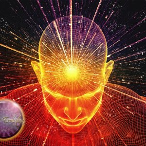 MENSCH+BEWUSSTSEIN+QUANTENFELD+WIRKLICHKEIT+BAXTEREFFEKT: Wie Gedanken die Umwelt verändern - Experiment für Zuhause! (DE 2016)