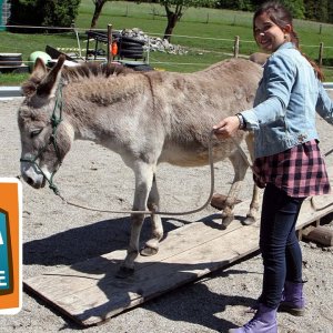 TIERE+DOKU+INFO: Esel | Haustiere | Reportage für Kinder | Anna und die Haustiere (DE 2015)