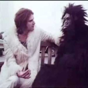 POP+SATIRE+LOVE+LIVING: The Kinks - Apeman (UK 1970)