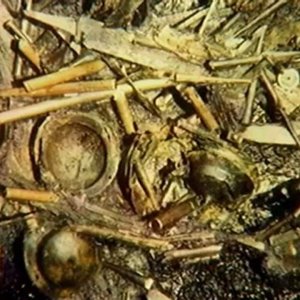 Die Erben des Imperiums