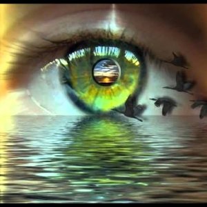 Wer nie durch Scherben ging