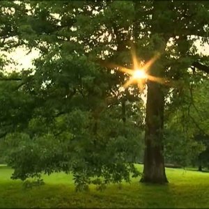 Pyramiden in Amerika