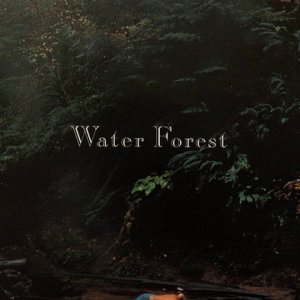 JAPAN+KLAVIER+SOLO+IMPRESSIONEN+FEMALE: Ichiko Hashimoto - Water Forest (JP 1997) FULL ALBUM