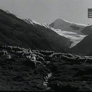 IN MEMORIAM+HEIMAT+PFLEGE+ERHALT+KAMPF:  Hans Haid (1938-2019)