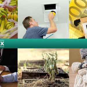 MARKT+CHECK: BANANEN: Lidl HUI + Hofer/Aldi PFUI - Sendung vom 19. März 2019