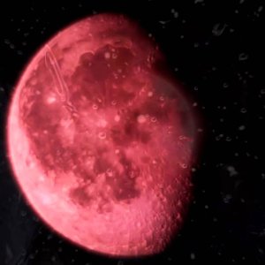 POP+ART+FOLK+GIRLIE: Sorrow (ft Rose McDowall) - Let There Be Thorns (UK 2001)