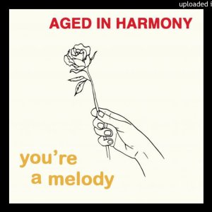 POP+DISCO+FUNKY+INSTRUMENTAL: Aged in Harmony - Dance A While (US 1979)