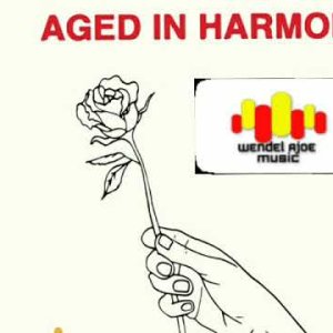 POP+DISCO: Aged In Harmony - You're A Melody (US 1979)