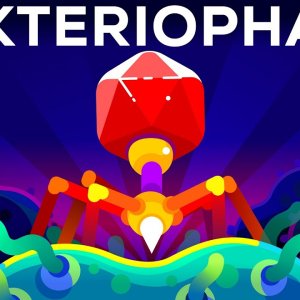 INFO+BAKTERIOPHAGEN+GESUNDHEITS-VIRUS: Der tödlichste Killer der Welt – Der Bakteriophage (DE 2018)