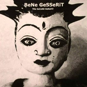POP+ART+ELECTRONIC+GROOVE+FEMALE: BeNe GeSSeRiT - Willen Sie tanzen mit mir? (BE 2014)