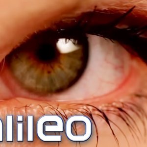 WISSEN+VERHALTEN+FORSCHUNG+GEHIRN: Wir täuschen dich! Wie leicht lassen sich unsere Sinne täuschen? | Galileo | ProSieben (DE 2018)