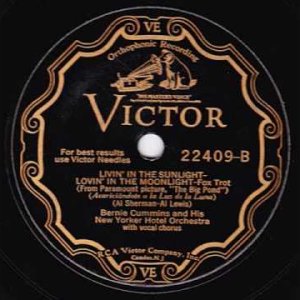SWING+FOX+CHOR: Bernie Cummins & His Hotel New Yorker Orchestra - Livin' In The Sunlight (US 1930)