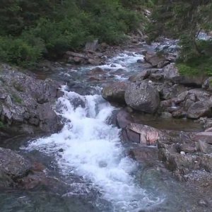 REISEVIDEO+ITALIEN+NATUR+NAHRUNGSSUCHE+STAUDAMM: Capra ibex (Steinböcke) on the Cingino Dam (IT 2011)