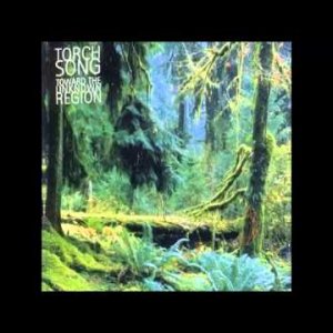 AMBIENT+ELECTRONIC+POP+DRUM-BEAT: Torch Song ‎- Toward the unknown Region (UK 1995)
