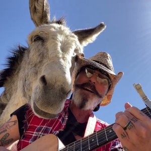 TIER+MENSCH+POP+SONGS+MUSIC+FOR+ANIMALS: Christopher Ameruoso - Hazel the Donkey Loves the Beatles Her Favorite Song ''Norwegian Wood'' (US 2021)