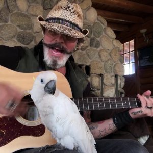 TIER+MENSCH+POP+SONGS+MUSIC+FOR+ANIMALS: Christopher Ameruoso - Parrot Experience Music for the First Time (US 2021)