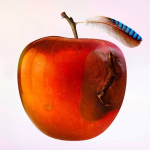 POP+LIED+NAIV+ROCK: International Music - Marmeladenglas (DE 2021)