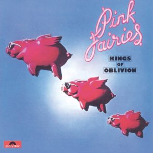ROCK+GLAM+GARAGE+PROG+HIPPIE+PUNK: Pink Fairies - I wish I was a Girl (UK 1973)